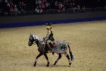 Quadrille - 00737